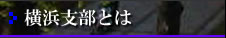 横浜支部とは